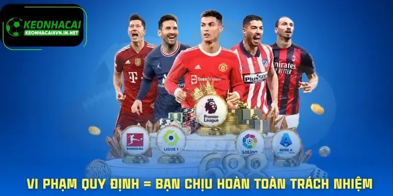 Miễn trừ trách nhiệm 3 mien-tru-trach-nhiem-nguoi-dung-vi-pham